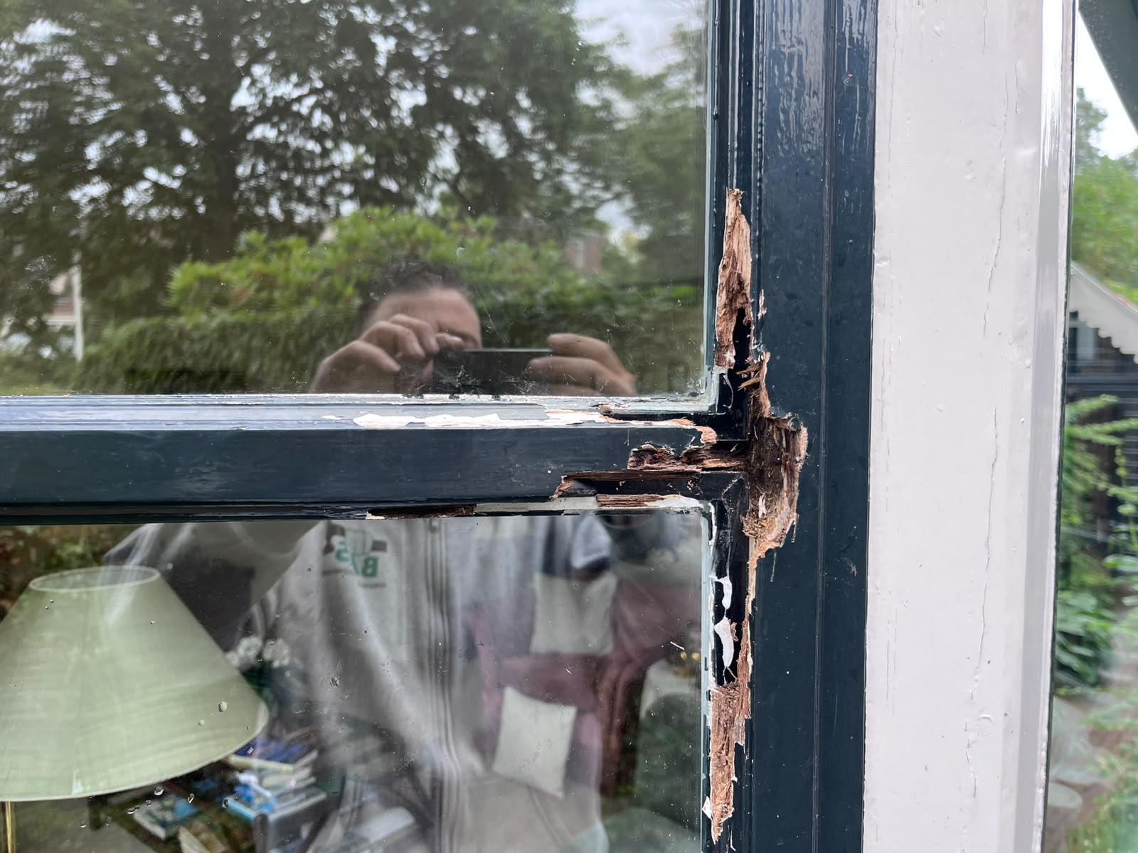Resultaat na professionele houtrotbehandeling