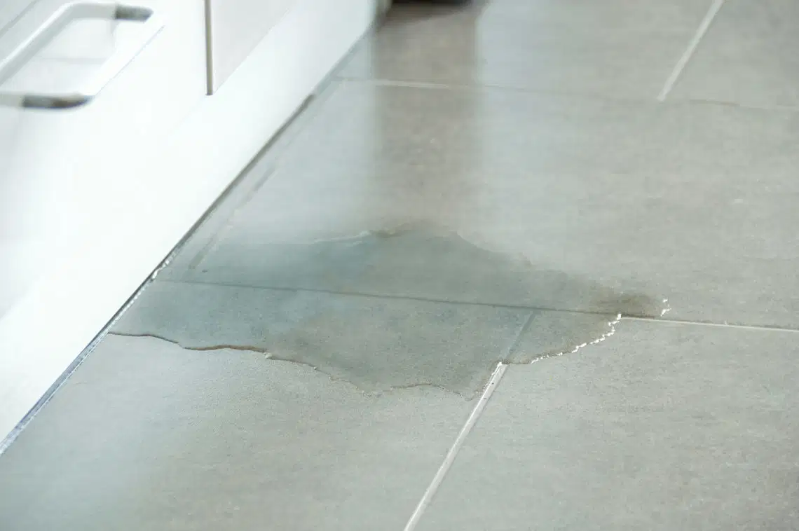 Loodgieter werkt aan een lekkende waterleiding